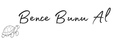 bence bunu al